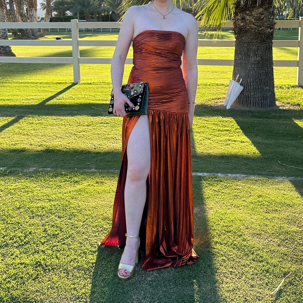 Retrofete Chantal Dress in Rust